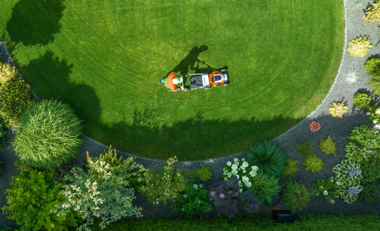 Landscaping and lawn care from Jims Affordable